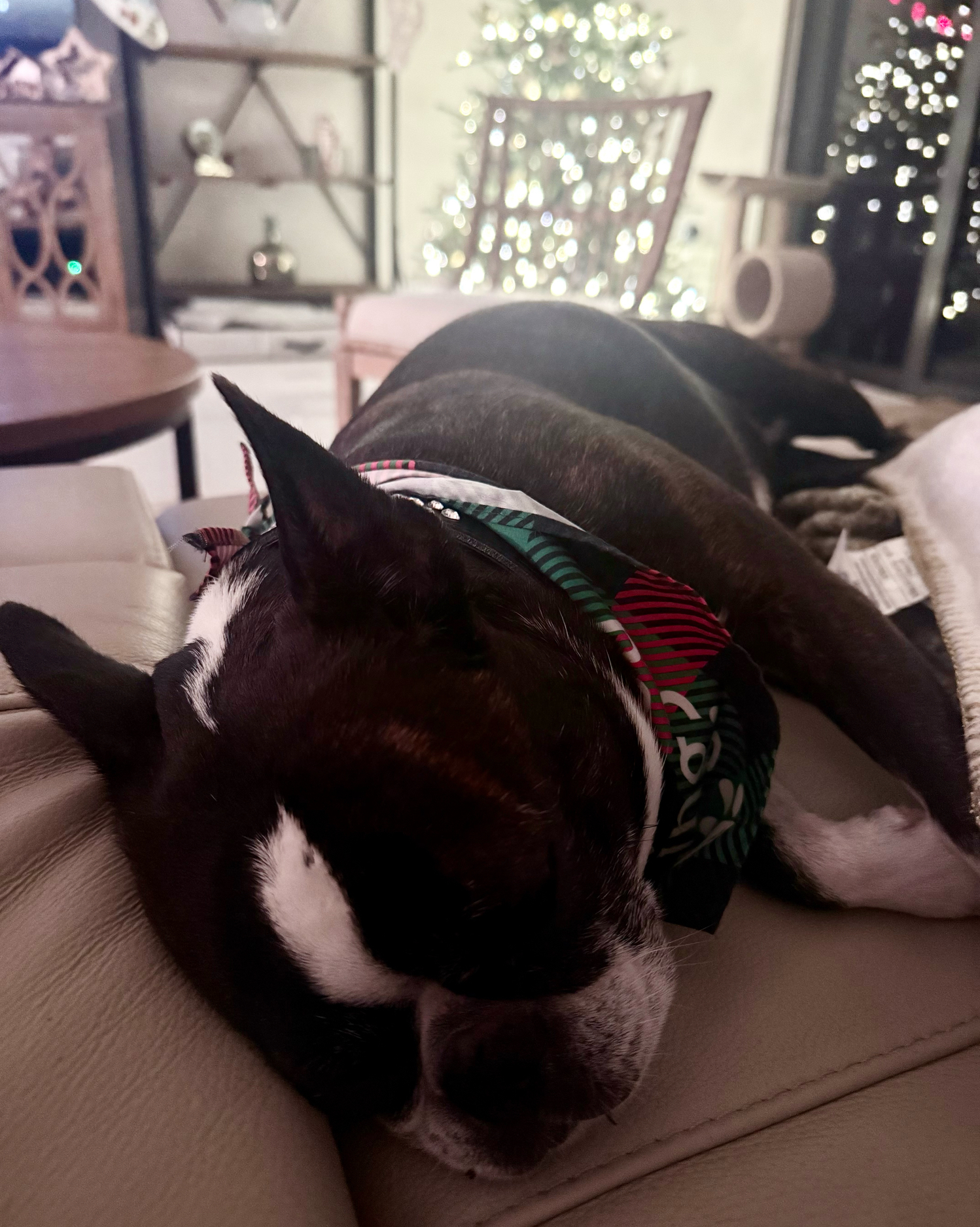 Business documentation